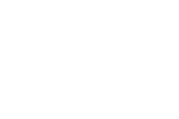 American Eagle Construction